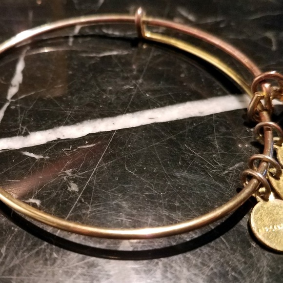 Alex and Ani February Birthstone AMETHYST Rafaelia - Picture 4 of 7